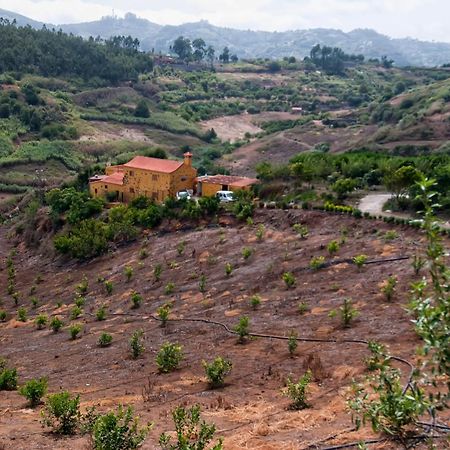 Las Casas De Lola Y Rafael Moya  Esterno foto