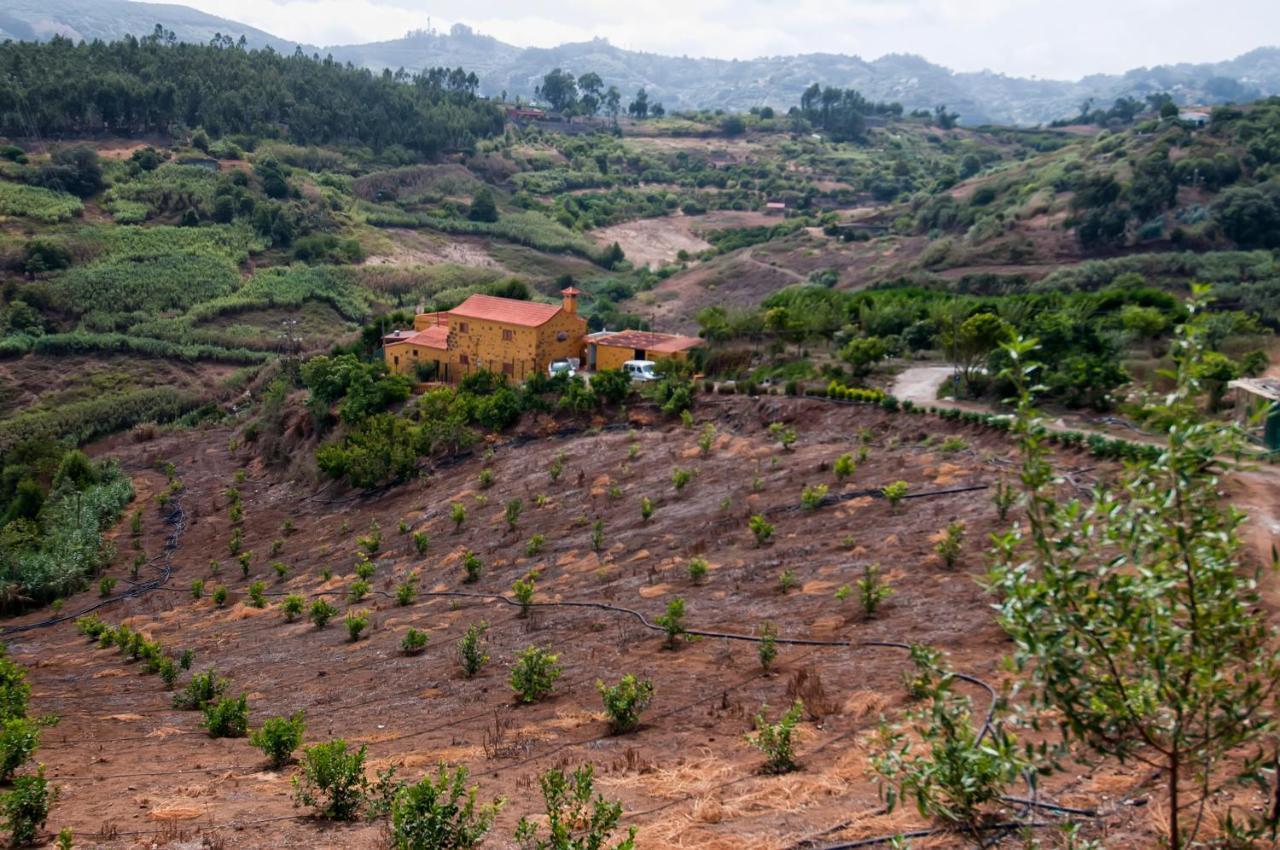 Las Casas De Lola Y Rafael Moya  Esterno foto